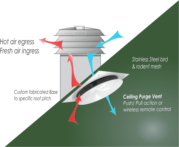 Ventilation of Cathedral /Raked ceiling roof ventilation